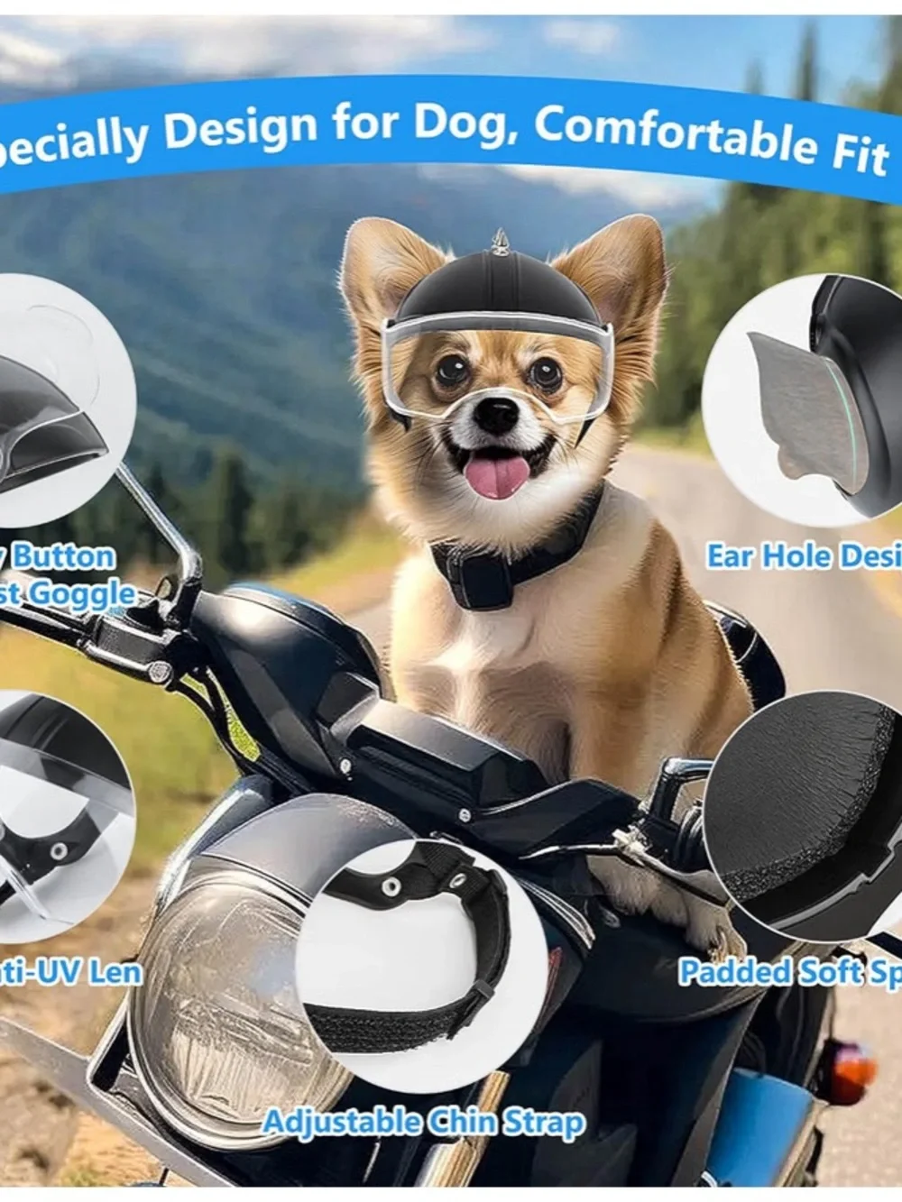 Black Dog Helmet with Clear Goggles - Small/Medium